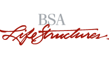 bsa_logo_plain