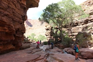 Exploring the canyon