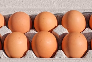 Large-Brown-Eggs-in-Carton.jpg