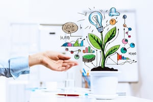 Close-up image of human hand and pot with money tree.jpeg