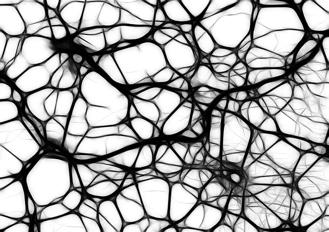 neurons-440660_640